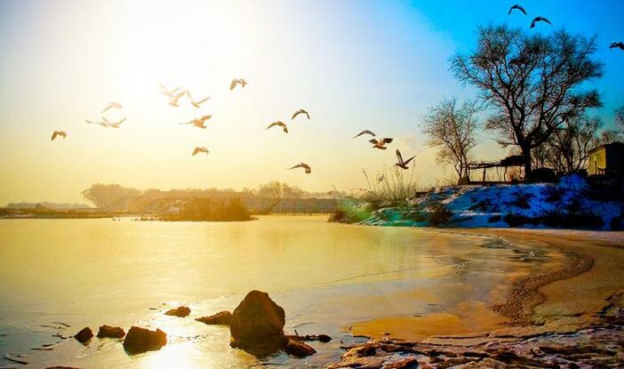 遼寧電力體制改革試點(diǎn)獲批之后 電力交易進(jìn)行的如何了？