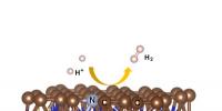 中國科大在碳基材料電催化析氫研究方面取得新進展