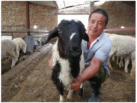 加強終端銷售體系建設 構建生態(tài)養(yǎng)殖產(chǎn)業(yè)鏈閉