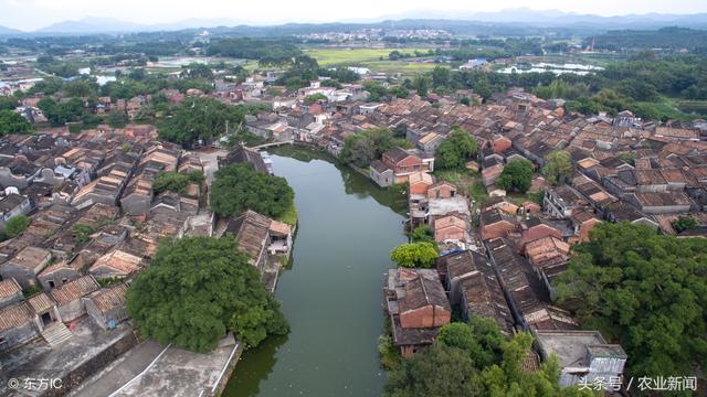 農業(yè)特色互聯(lián)網小鎮(zhèn)該怎么建