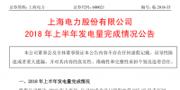 國家電投旗下上海電力上半年經(jīng)營成績單出爐：完成發(fā)電量237.85億千瓦時