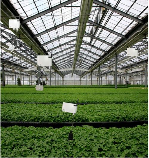 “互聯(lián)網(wǎng)+農(nóng)業(yè)”，創(chuàng)造農(nóng)村發(fā)展新活力