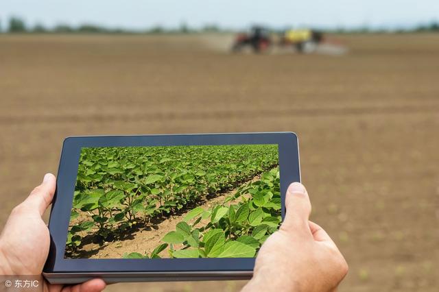 2018年農(nóng)村電商巨頭卡位戰(zhàn)：互聯(lián)網(wǎng)+農(nóng)業(yè)新玩法！