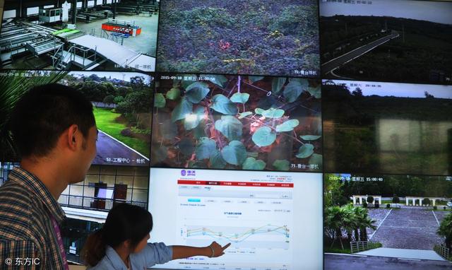 2018年農(nóng)村電商巨頭卡位戰(zhàn)：互聯(lián)網(wǎng)+農(nóng)業(yè)新玩法！