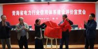 青海電力行業(yè)信用體系建設(shè)正式起步 電力信用評價中心揭牌成立
