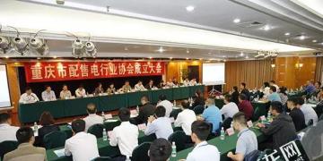 重慶市配售電行業(yè)協(xié)會(huì)成立 推動(dòng)售電側(cè)改革促進(jìn)行業(yè)發(fā)展