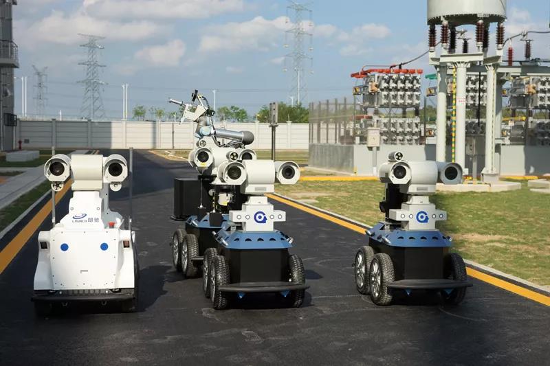 在電網(wǎng)公司上班都“養(yǎng)”什么神奇動(dòng)物？