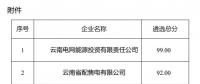 2025年云南電力市場保底售電公司候選名單公示！